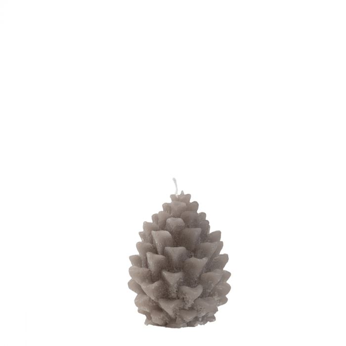 Pinecone / dennenappel morene main product photo